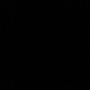 Meet your Posher, Brando